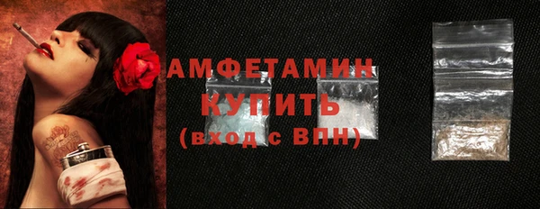 прущие грибы Новокубанск