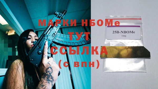 прущие грибы Новокубанск