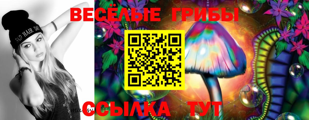 Псилоцибиновые грибы Cubensis  Галлюциногенные грибы Cubensis  Вход с VPN  Сибай 