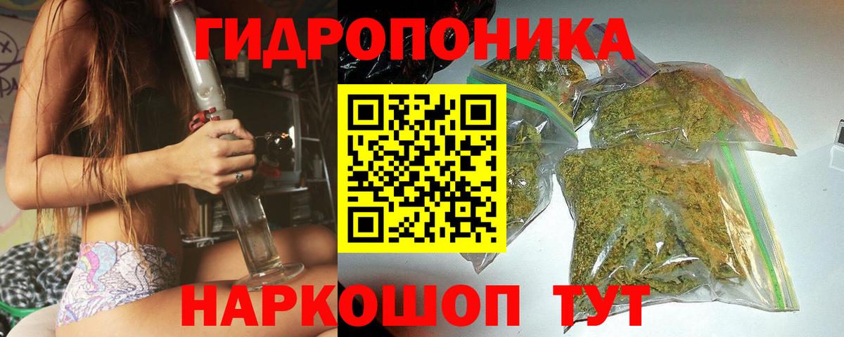 Каннабис планчик Сибай
